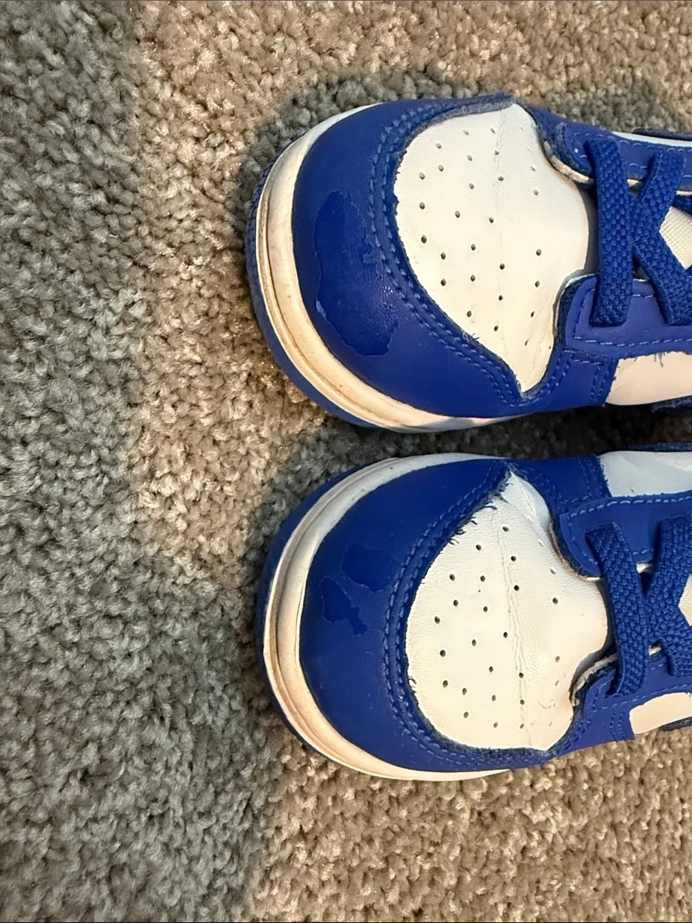 Toddler Nike Dunks
